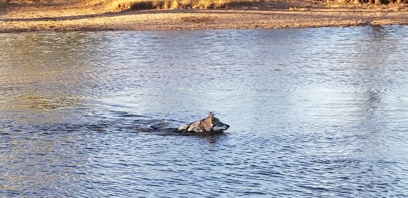 Pets and People Dog Park - Yukon, OK