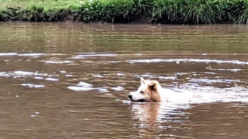 Pets and People Dog Park - Yukon, OK