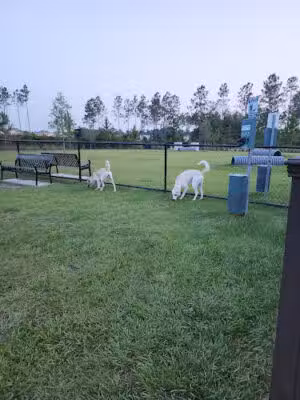 Pawsome Park (Tributary-Residents Only) - Yulee, FL