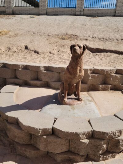 Dog Bark Park - Yuma, AZ