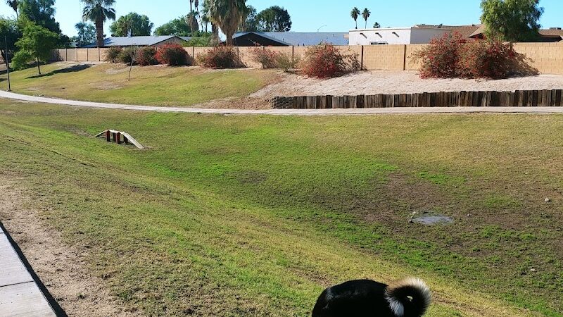 Dog Bark Park - Yuma, AZ
