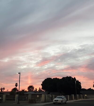 Dog Bark Park - Yuma, AZ