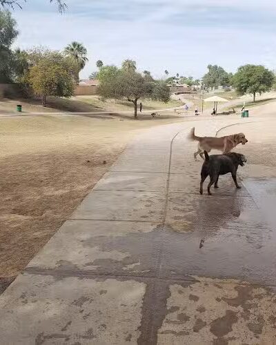 Dog Bark Park - Yuma, AZ