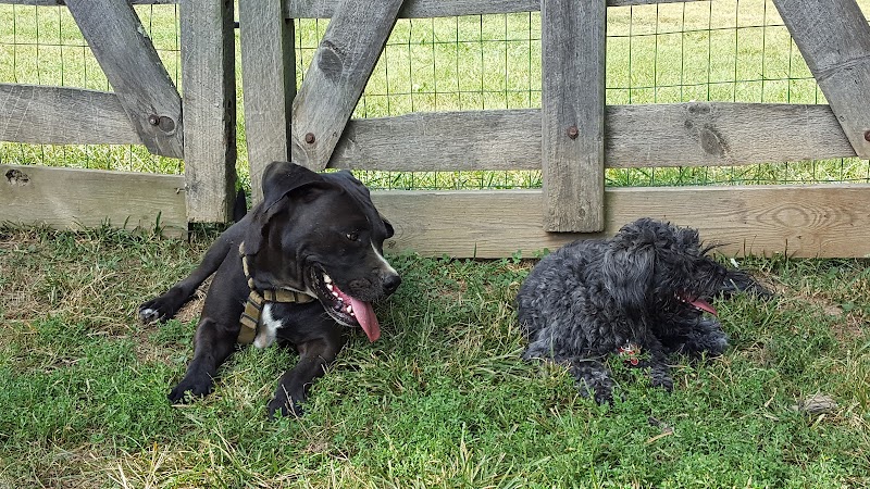 Grove Run Dog Park - Abington, PA