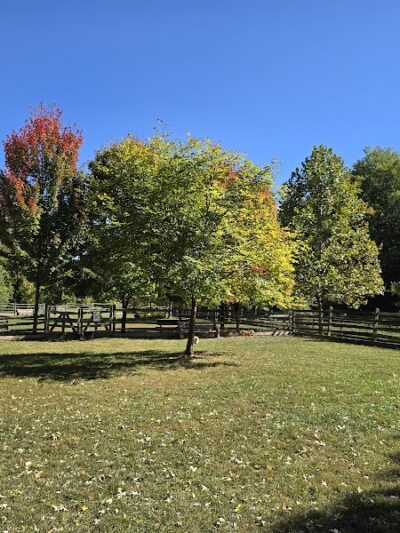 Grove Run Dog Park - Abington, PA