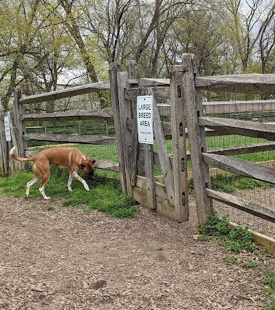 Grove Run Dog Park - Abington, PA