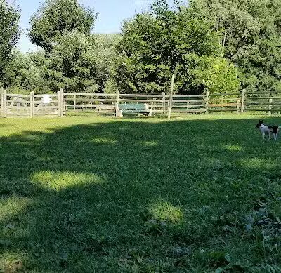 Grove Run Dog Park - Abington, PA