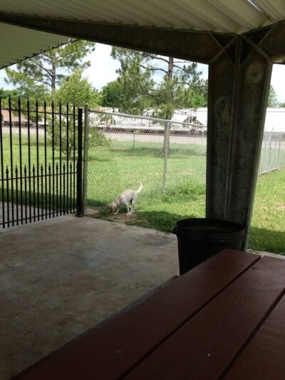 Ada Dog Park - Ada, OK