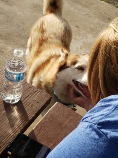 Ada Dog Park - Ada, OK