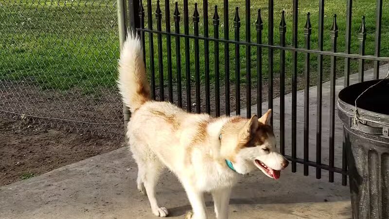 Ada Dog Park - Ada, OK