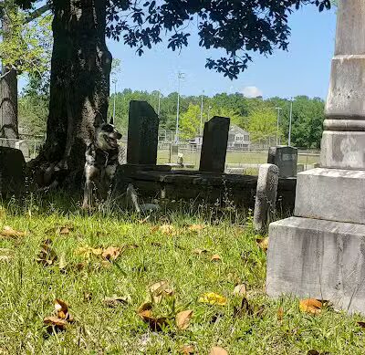 Adamsville Bark Park - Adamsville, AL