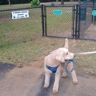 Adamsville Bark Park - Adamsville, AL