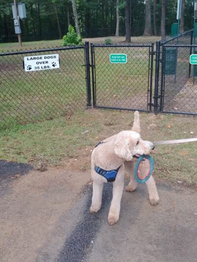 Adamsville Bark Park - Adamsville, AL