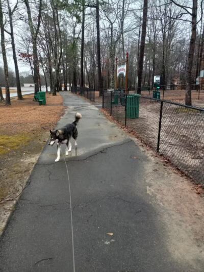 Adamsville Bark Park - Adamsville, AL
