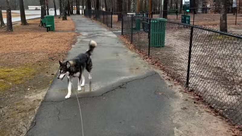 Adamsville Bark Park - Adamsville, AL