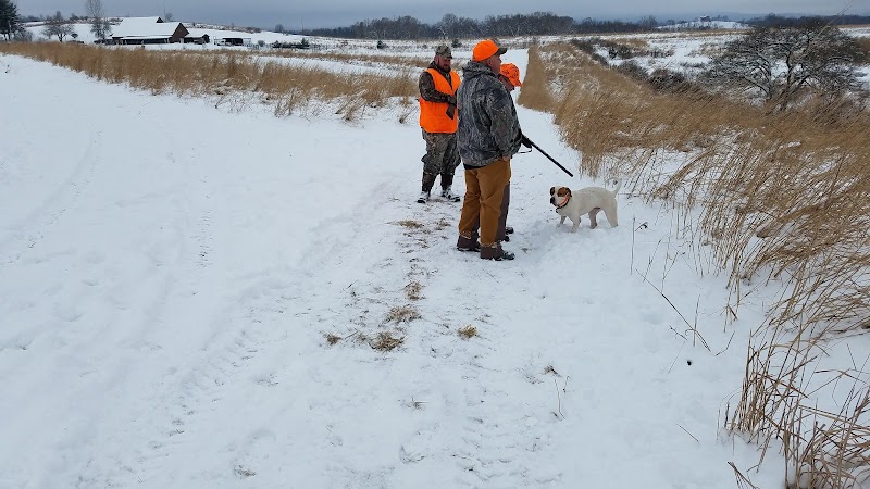 On Point Outfitters - Addison, PA