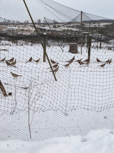 On Point Outfitters - Addison, PA