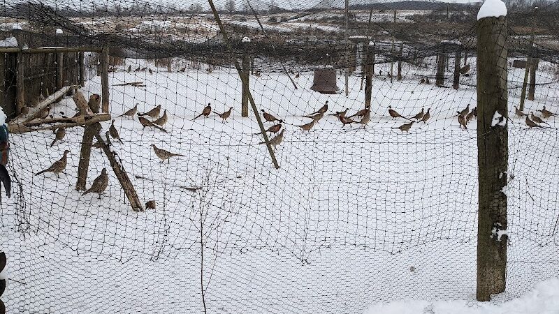 On Point Outfitters - Addison, PA