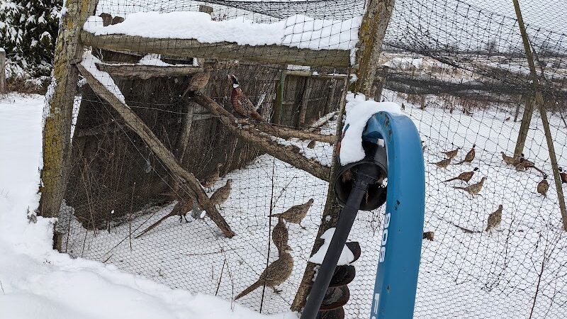 On Point Outfitters - Addison, PA