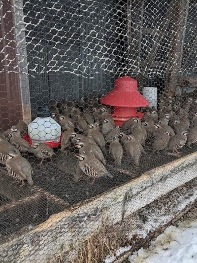 On Point Outfitters - Addison, PA