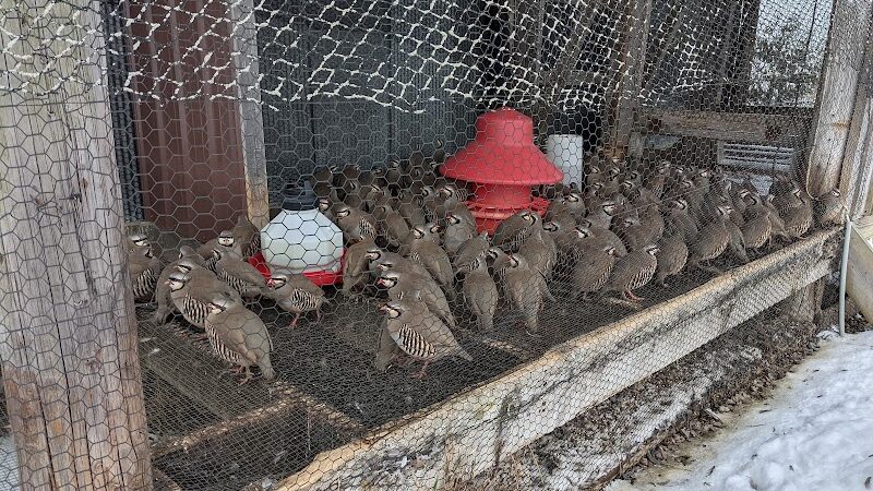 On Point Outfitters - Addison, PA