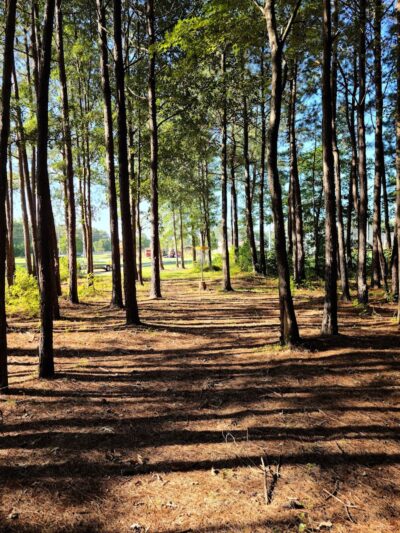 Ahoskie Creek Amphitheater - Ahoskie, NC