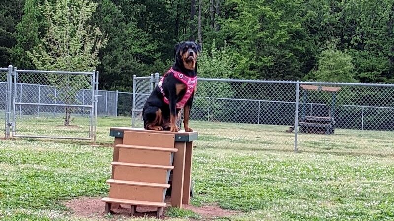 Albemarle Parks & Recreation Dog Park