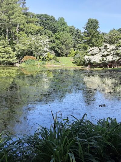 Clark Botanic Gardens - Albertson, NY