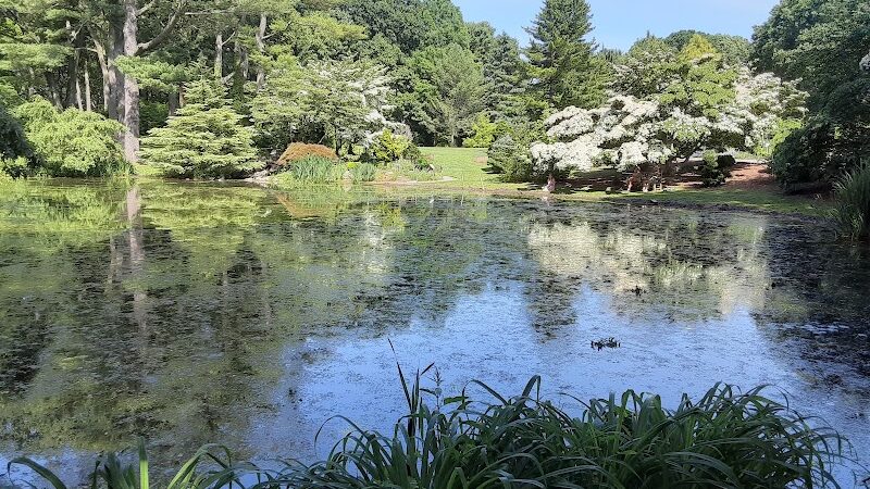 Clark Botanic Gardens - Albertson, NY
