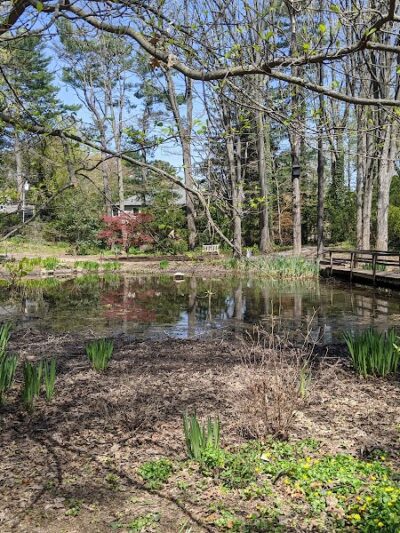 Clark Botanic Gardens - Albertson, NY
