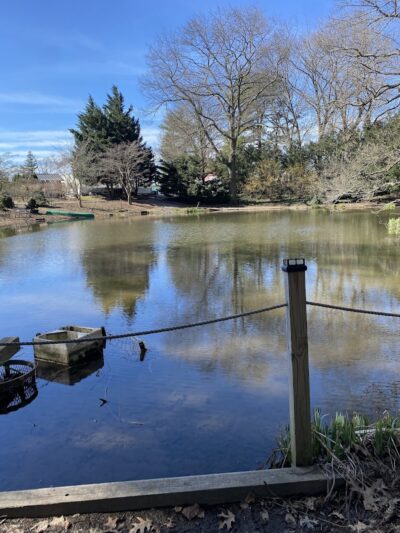 Clark Botanic Gardens - Albertson, NY