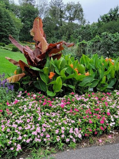 Clark Botanic Gardens - Albertson, NY