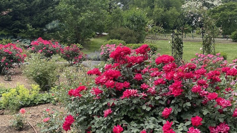 Clark Botanic Gardens - Albertson, NY