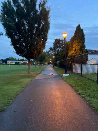 John D Caemmerer Park - Albertson, NY