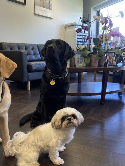 Vision World - Albertson, NY