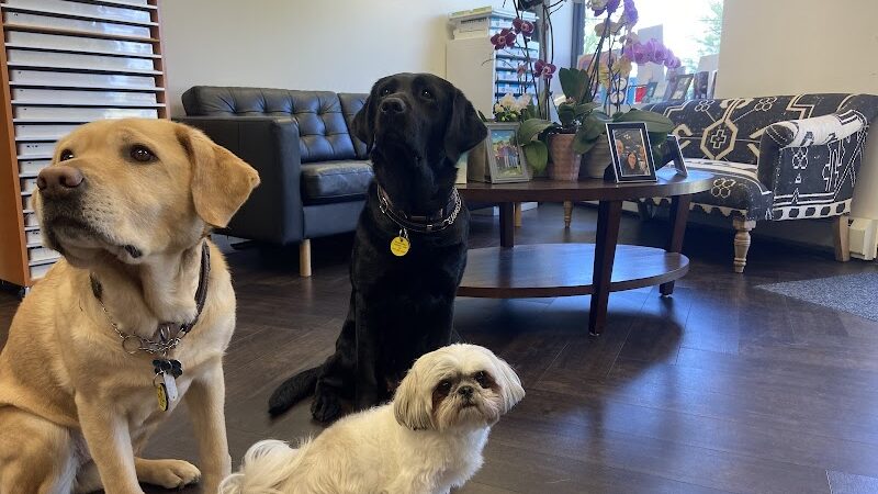 Vision World - Albertson, NY