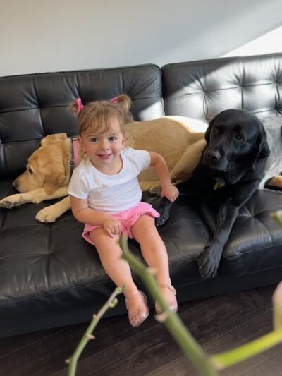 Vision World - Albertson, NY