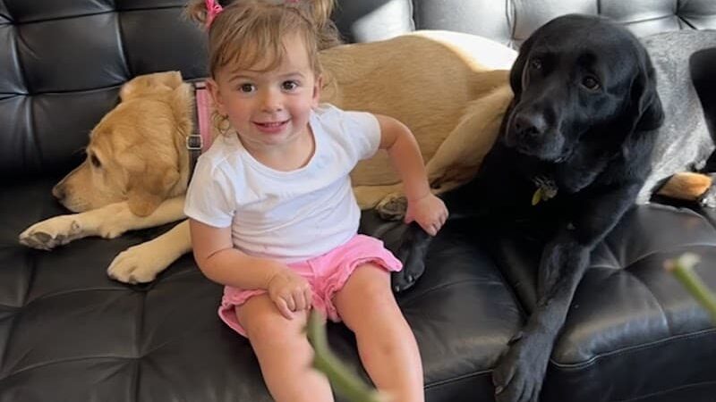 Vision World - Albertson, NY