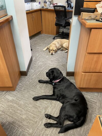 Vision World - Albertson, NY