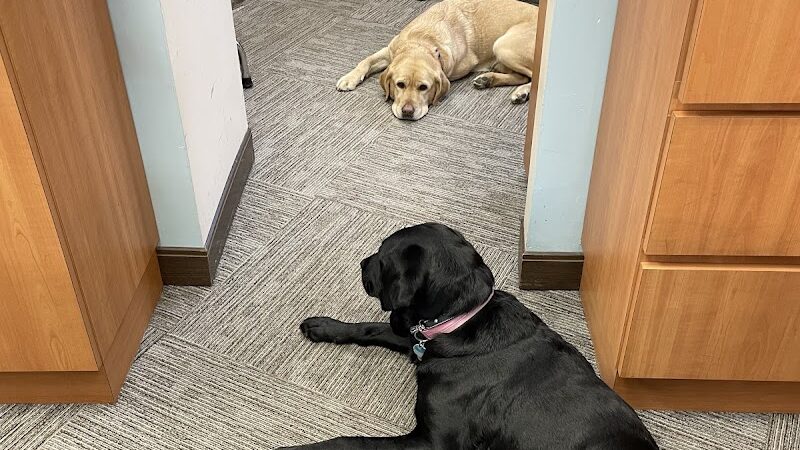 Vision World - Albertson, NY