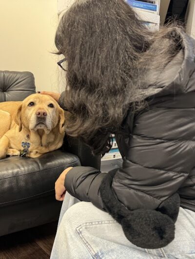 Vision World - Albertson, NY