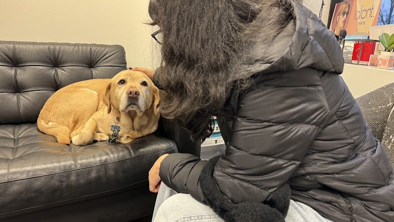 Vision World - Albertson, NY