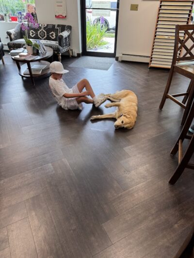 Vision World - Albertson, NY