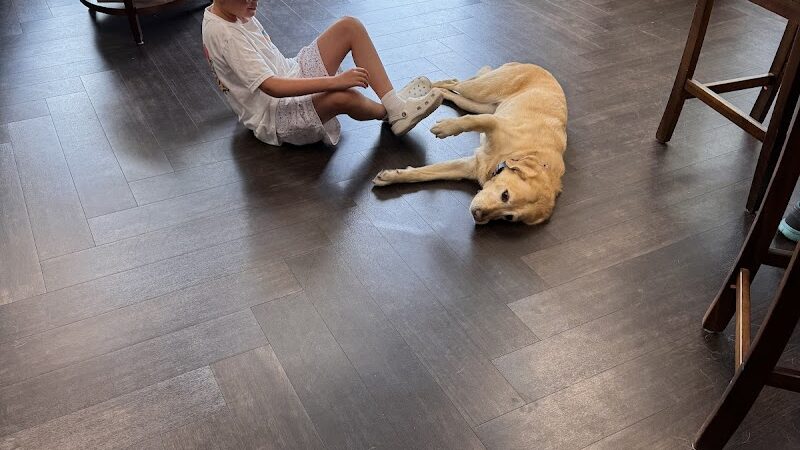 Vision World - Albertson, NY