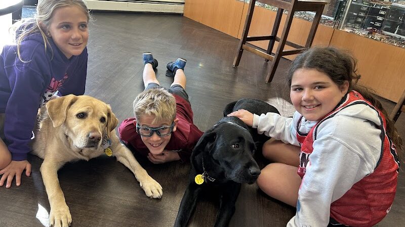 Vision World - Albertson, NY