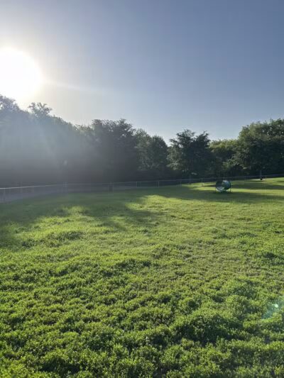 Pooch Playland - Alexandria, MN