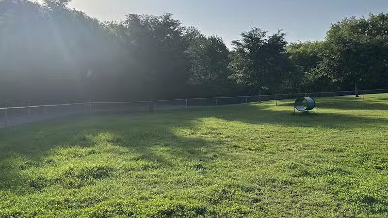 Pooch Playland - Alexandria, MN
