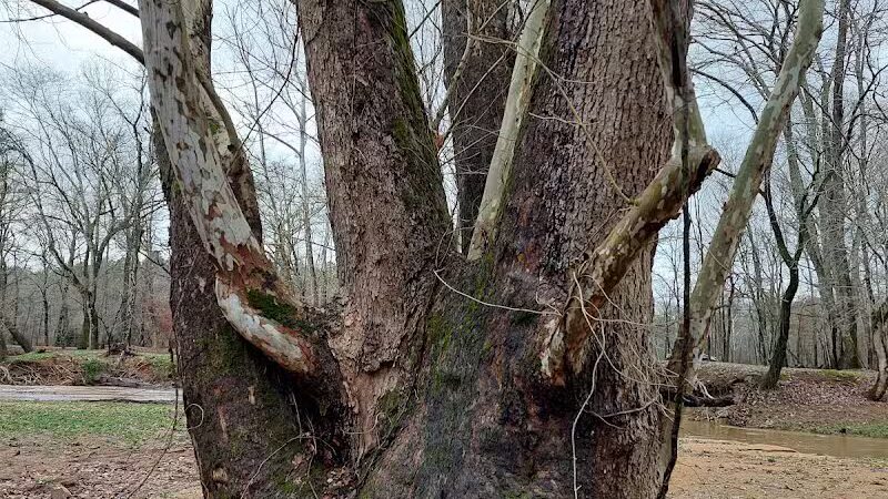 Risers Park - Alpine, AL