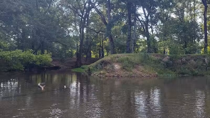 Risers Park - Alpine, AL