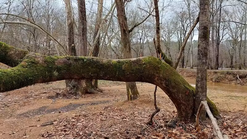 Risers Park - Alpine, AL